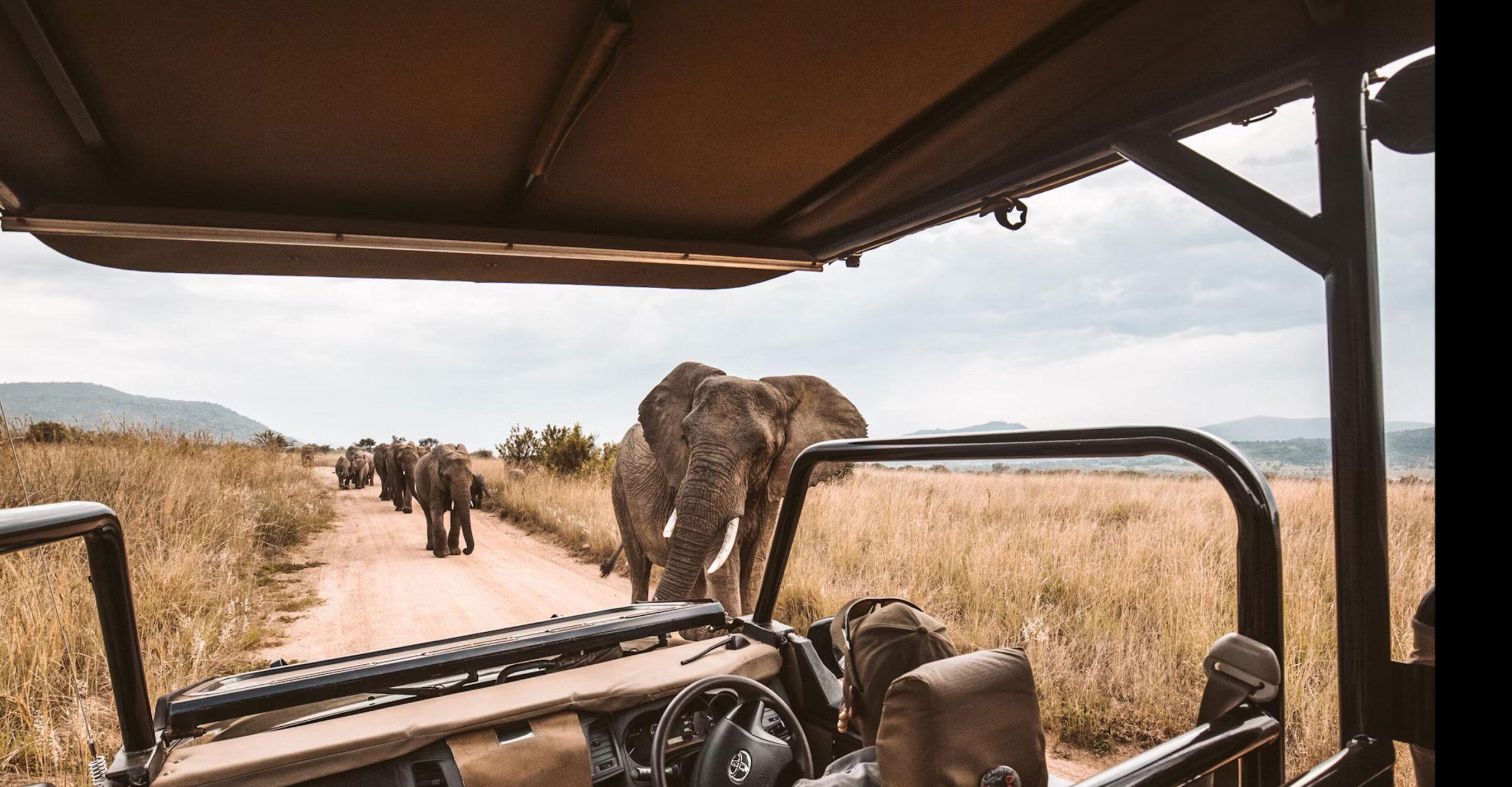 Tailored Travel | Lifestyle | HY10